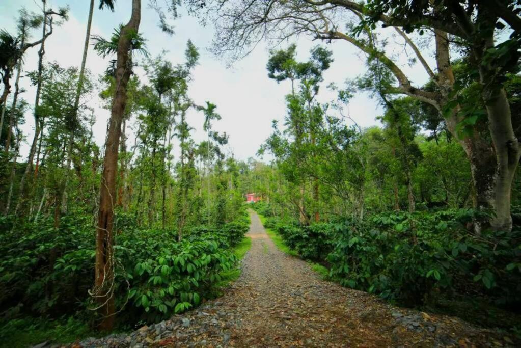 Entire Villa At The Heart Of The Wayanad Forest. Kutta المظهر الخارجي الصورة