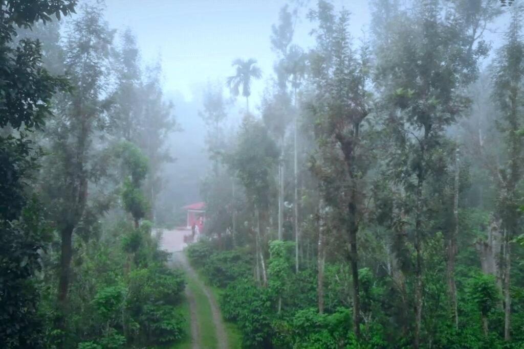 Entire Villa At The Heart Of The Wayanad Forest. Kutta المظهر الخارجي الصورة