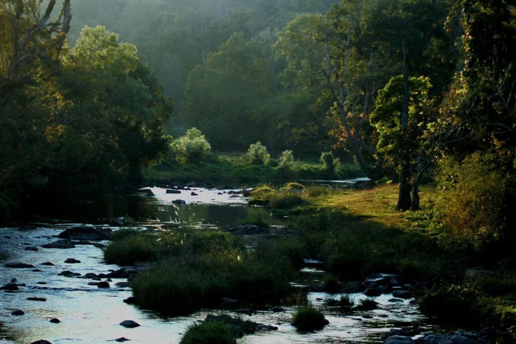 Entire Villa At The Heart Of The Wayanad Forest. Kutta المظهر الخارجي الصورة