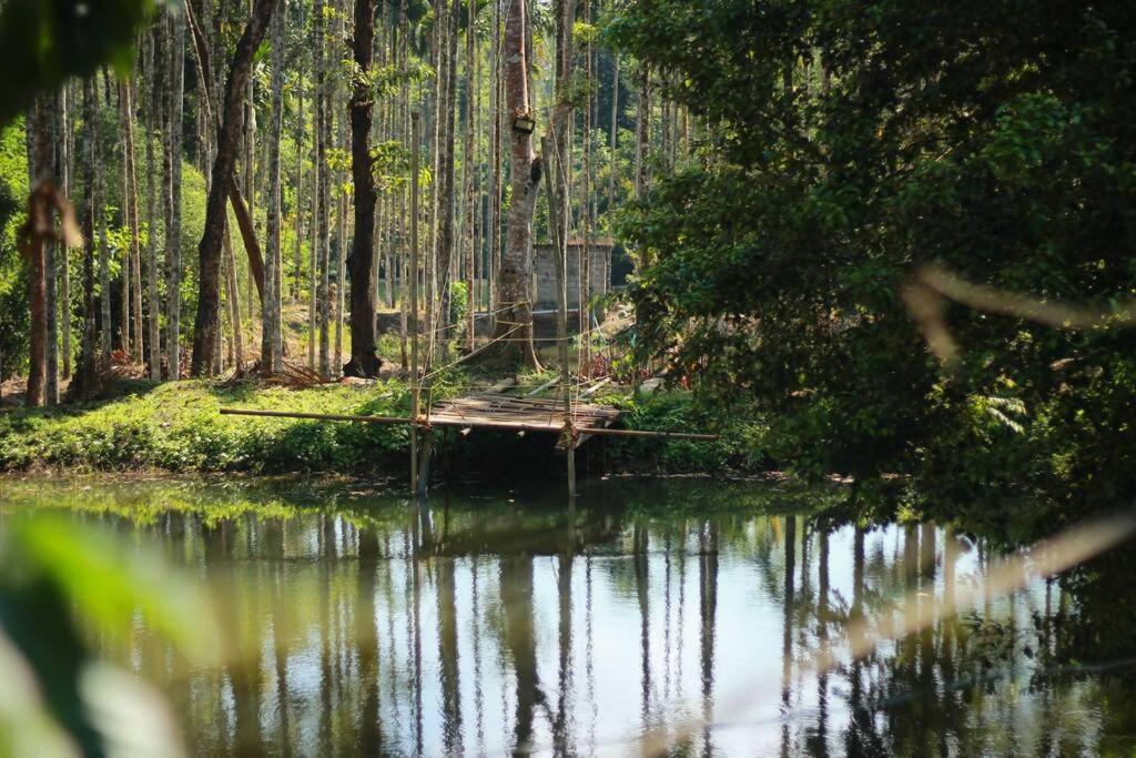 Entire Villa At The Heart Of The Wayanad Forest. Kutta المظهر الخارجي الصورة